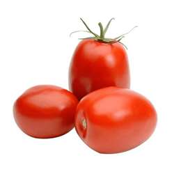 Tomato Hybrid/Tamatar Hybrid